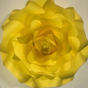 Meet your Posher, Marissa